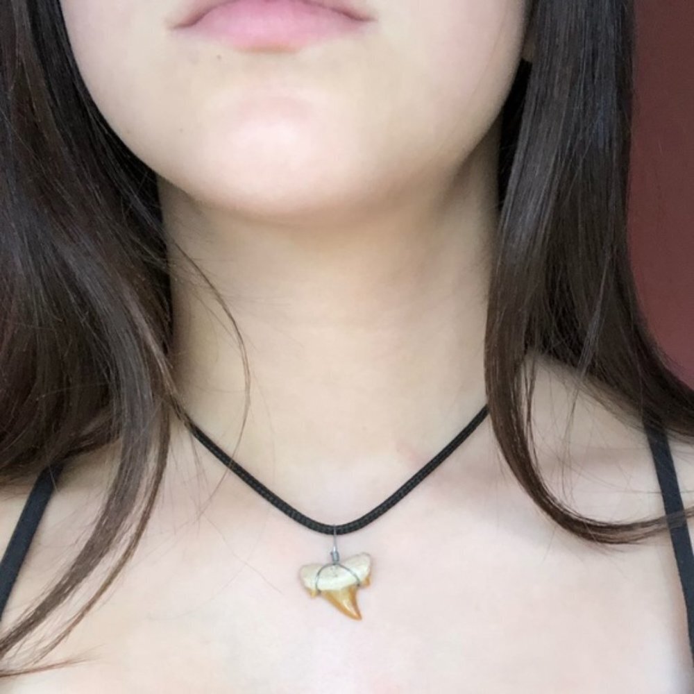 NEW  Shark Tooth Leather Choker/Necklace